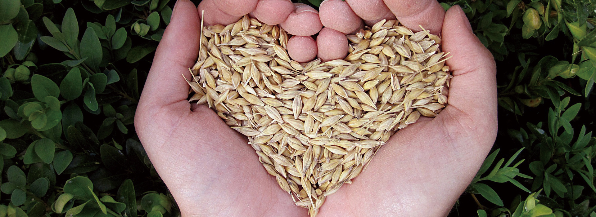 就労継続支援B型事業所 アシストワークあおぞら